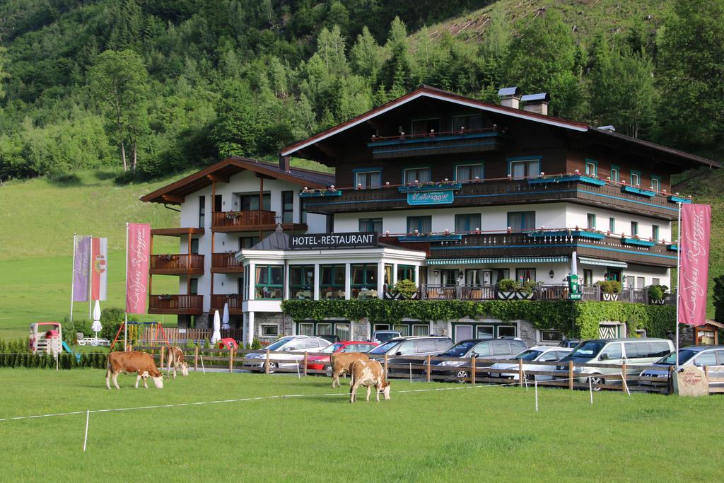 Landhaus Rohregger Нойкирхен-ам-Гросфенедигер Экстерьер фото